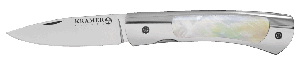 Stainless Steel Folding Knife